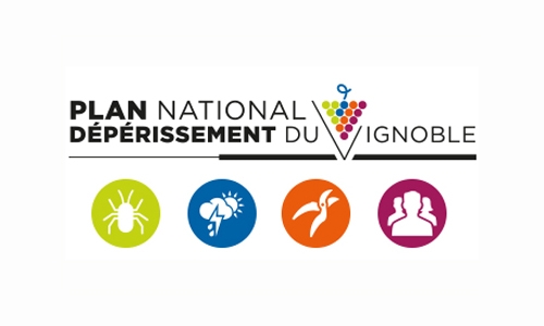 Plan-National-Deperissement-vignoble