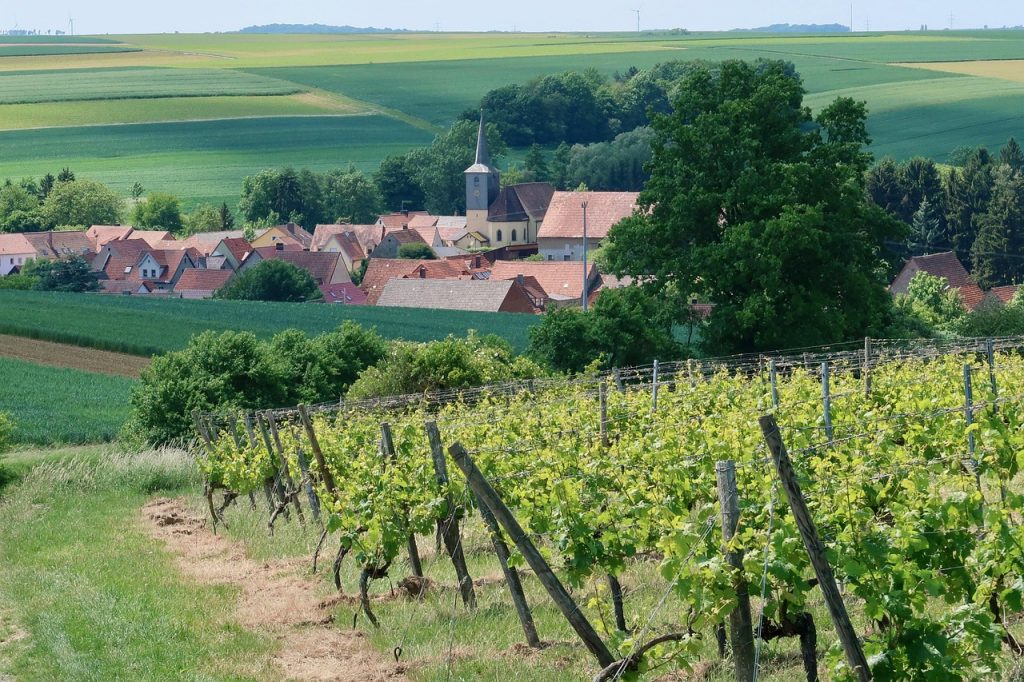 village, viticulture, wine, wine growing, vineyard, winemaker, landscape, agriculture, vines, wine-growing area, church, wine region, mainfranken