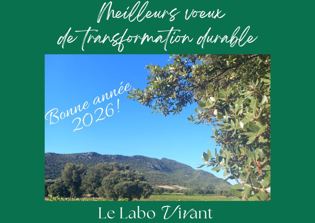 voeux