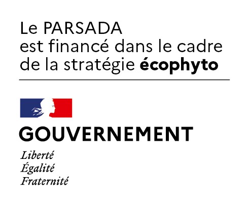 parsada